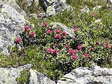 Fotografija s spletne strani Ewald Holzer na poti