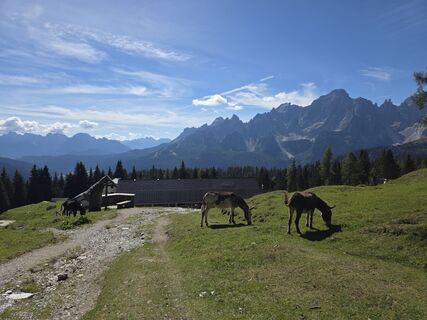 Foto von Werner Pink 1 entlang der Tour