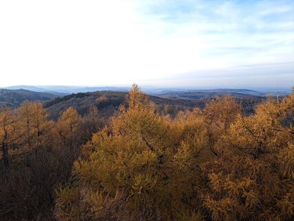 Fotografia z Walter Köllner na trase