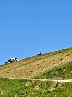 Fotografie de la Harrie Nijhuis de-a lungul turului