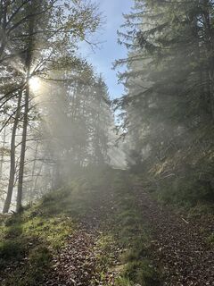 Fotografia z Maxime muller na trase