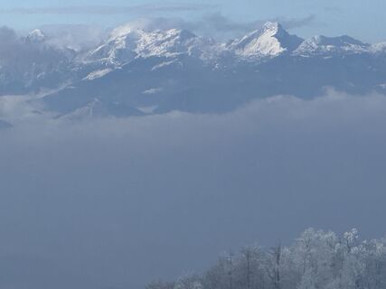 Fotografija s spletne strani Borut Korošec na poti
