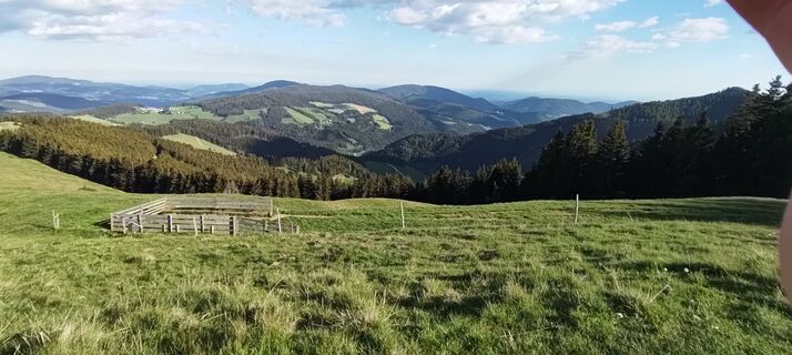 Foto von wolfkl entlang der Tour