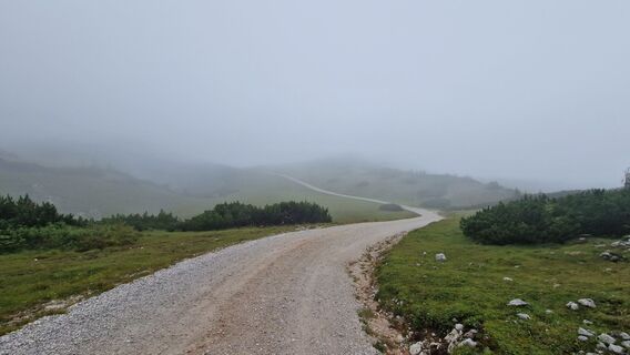 Photo de EP87 le long du parcours