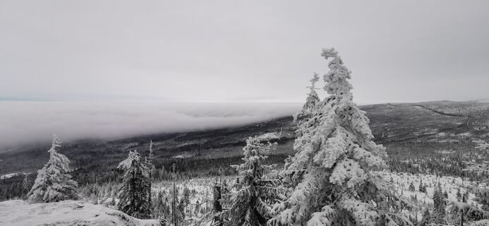 Foto de Klaus Lehner a lo largo del recorrido