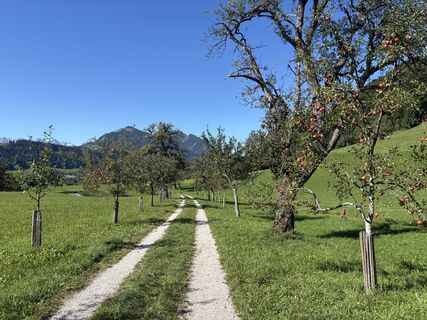 Fotografija s spletne strani Stefan Wurm na poti