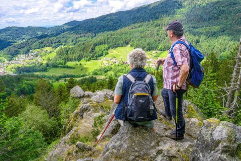 Ausblick vom Scherzenfelsen am Bosensteiner Almpfad