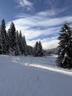 Fotografija s spletne strani Nikolas von Merveldt na poti