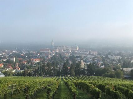 Blick auf die Riedenlandschaft und das Stift Klosterneuburg