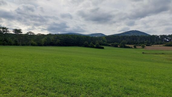Fotó a Johann Neubauer honlapról a túra során