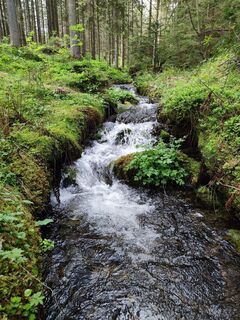 Photo de Mia76 le long du parcours