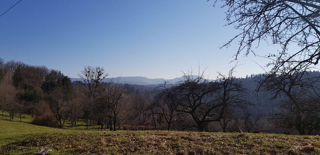 Fitnessrunde Mutlangen 1