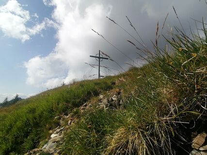 Foto de Turbinio a lo largo del recorrido