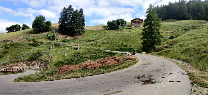 Photo de Daniele Spezia le long du parcours