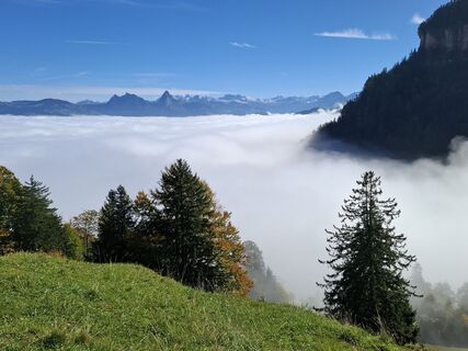 Foto de Maurer Silvia a lo largo del recorrido