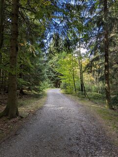 Fotografija s spletne strani dgerber na poti