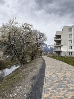 Zdjęcie z Cyrill Bischof wzdłuż trasy