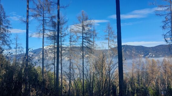 Fotografia z Karin Svozil na trase