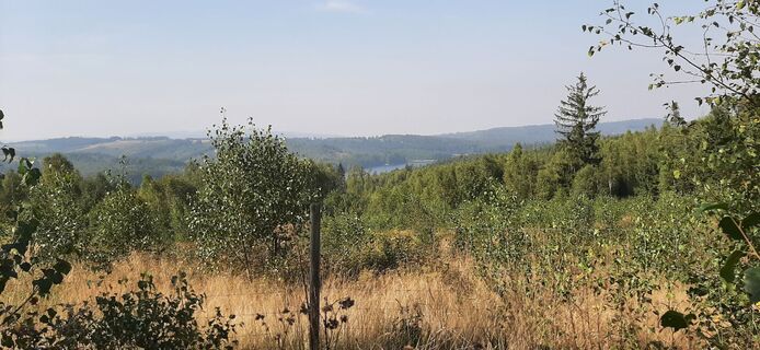 Fotografija s spletne strani Georg Meisterjahn na poti
