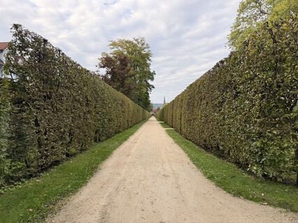 Photo de Norbert Herbig le long du parcours