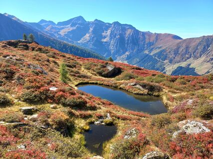 Lacken mit Hochwildstelle im Hintergrund