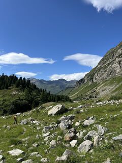Fotografija s spletne strani Riccardo Calvi na poti