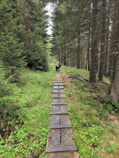 Foto de Benjamin Bergmann a lo largo del recorrido