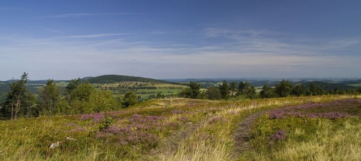 Usseler Heide
