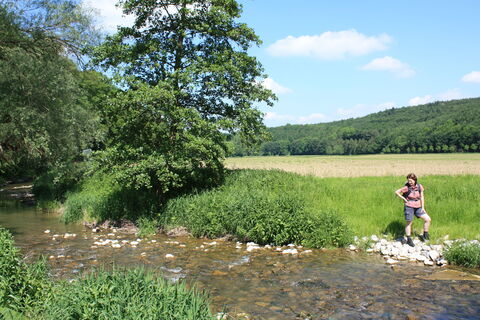 Natur an der Altenau