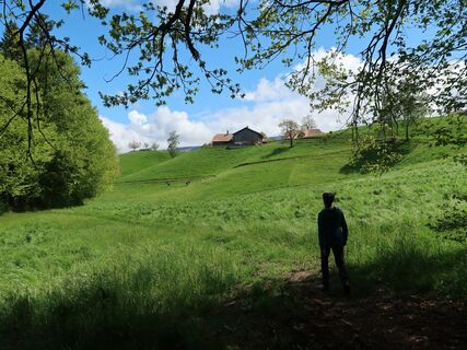 Weg Bärenwart - Wanderung Guggisberg - Rüschegg