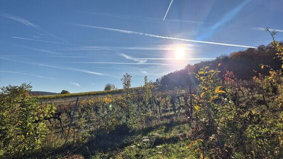 Foto von Claudia Maurer entlang der Tour