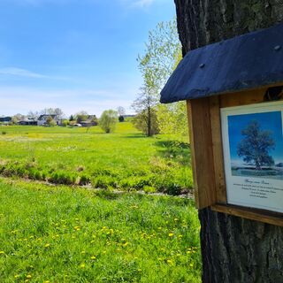 Oberkoskauer Mühlenweg - Wanderung zur Mittelmühle