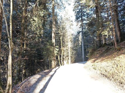 Zdjęcie z Xenia Lange wzdłuż trasy