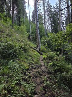 Foto von Sven entlang der Tour