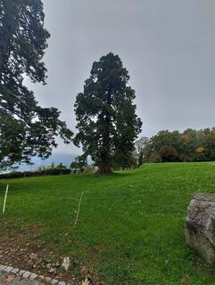 Foto von Philipp Lötscher entlang der Tour