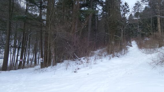 Weg rechts