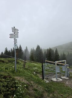 Photo de Gudrun Lippert le long du parcours