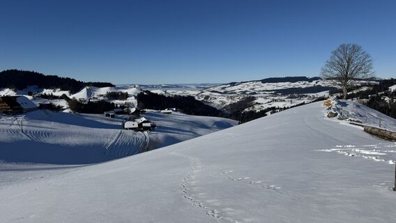 Foto von peter_oe entlang der Tour