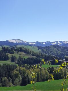 Fotografija s spletne strani Werner Hones na poti