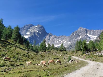 Photo de Sabine Steuxner le long du parcours