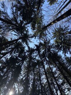 Fotografia z Stefanie Roitner na trase