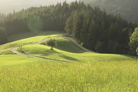 Janzevski Vrh