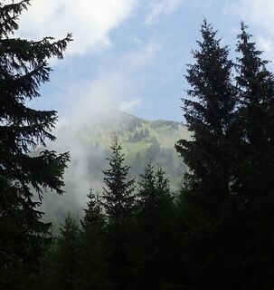 Blick zum Lomstein