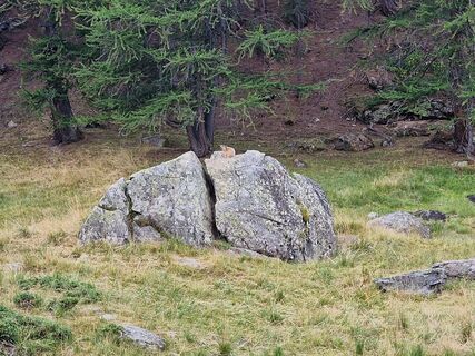 Foto de Cyrille BAILLARGEAU a lo largo del recorrido