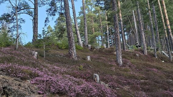 Foto von Horst Ditjo entlang der Tour