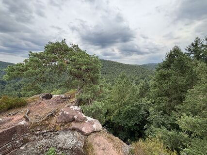Fotografie z Johannes Frank na trase