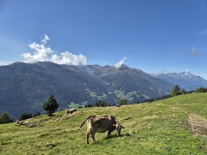 Foto von Michael Hohlfeld entlang der Tour