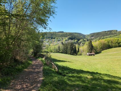 Photo de Attila Németh le long du parcours