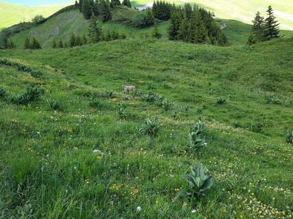 Foto von Ton Wisman entlang der Tour