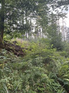 Foto von Richterlukas entlang der Tour